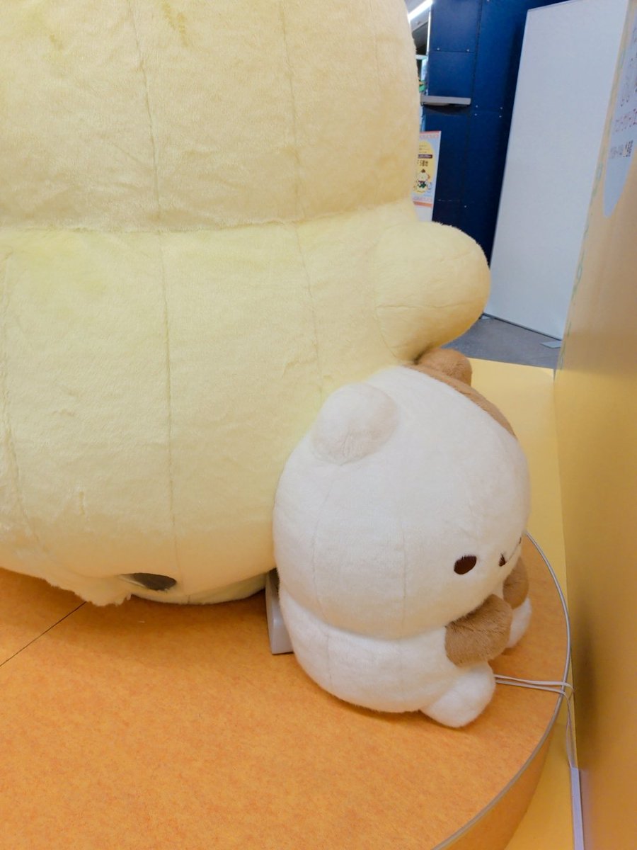 rirasora0424's tweet photo. マフィンくん寂しそうだよ😢
#ポムポムプリン
#池袋東武 https://t.co/HQO8b016Oq