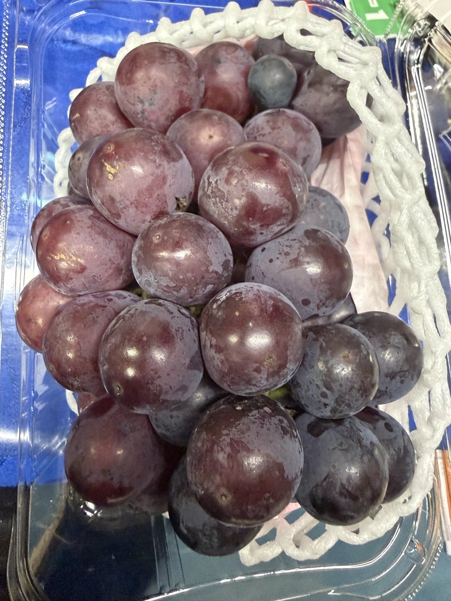 takayakuroda's tweet photo. 例年より
マスカットと巨峰が安い気がする！

で
買って来ました🍇 https://t.co/UxCkXPrwvK