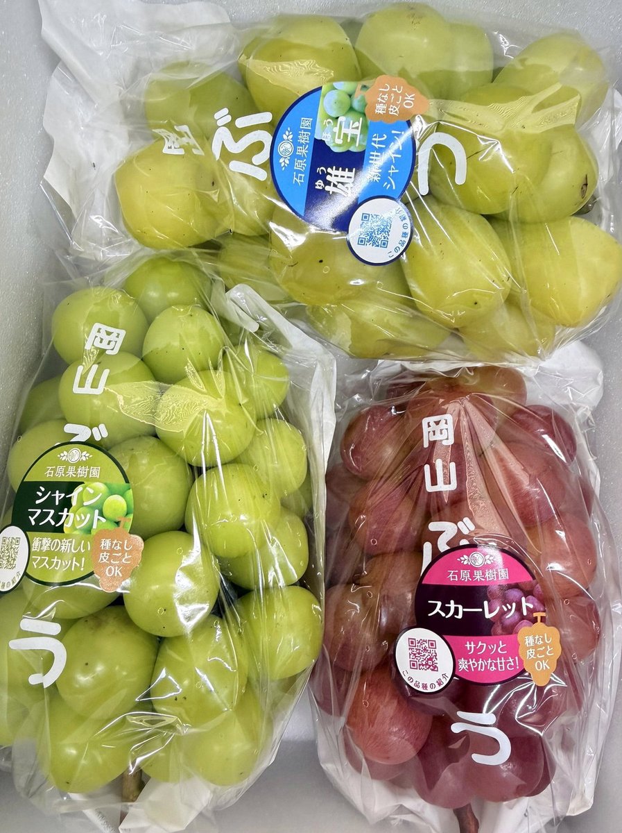 ncaahoopssource's tweet photo. 今日は娘の定期診察🏥先日のMRIの結果は再発なし✨️😭
細くなってる血管はなんとかバイパス手術で繋いだ所が頑張ってくれてるみたい。このまま症状出なければ経過観察でOK👌とのこと。
腫瘍の再発がない事が1番だからね✨️良かった良かった😊
元気に遅刻で登校🏫私も午後は仕事頑張る✊🏻 ̖́- https://t.co/dD05sV6MFw