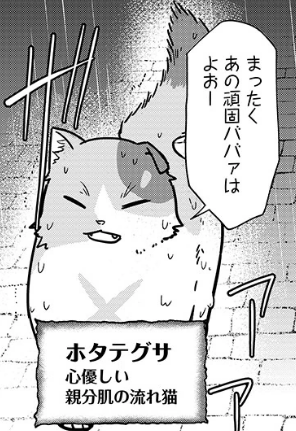 iroironaiyo's tweet photo. 猫と竜　ミケミケとねこねこギルド１０話目が更新されてます！
今回はホタテグサの親分のお話。ミケミケはお悩み解決出来るかな！
https://t.co/Cc8uEQeNXy https://t.co/9YLOuxyCt6