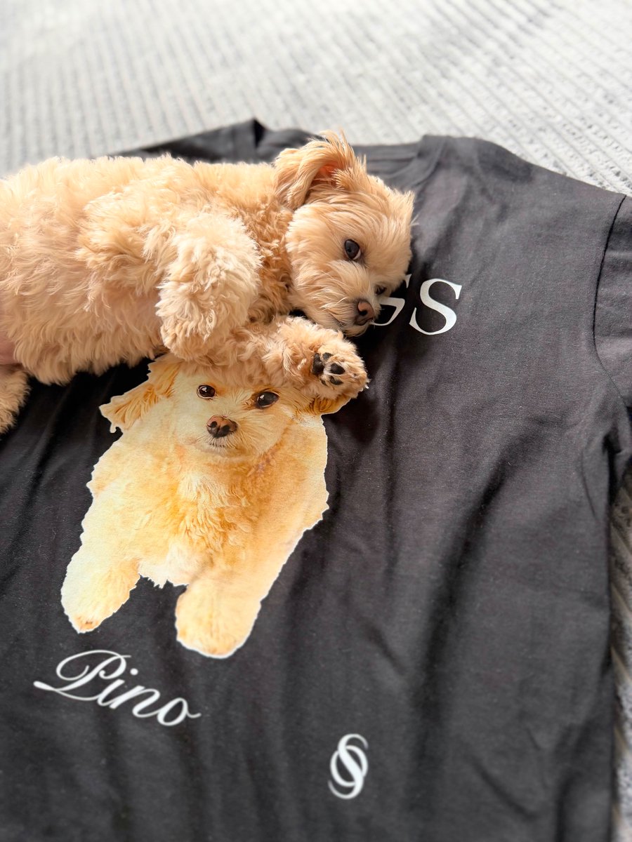 laidback0210's tweet photo. 一般社団法人Super Givers × THE ONENESS
- 犬猫保護チャリティー パーソナルオーダー企画 -

THE ONENESSでは、愛するペット達との日常をより楽しんでいただけるよう
「犬猫パーソナルオーダー企画」を展開いたします。
本企画では、ご希望のお客様の愛犬、愛猫のお写真とお名前をお預かりし、THE ONENESSのロゴを落とし込んだオリジナルデザインをTHE ONENESS側でデザインを構築させていただき製作いたします。
また、売上より他犬猫保護チャリティー商品同様に一般財団法人SuperGivers経由で犬猫保護団体へ寄付させていただきます。
オーダー等の詳細はこちら→https://t.co/VCDLtk1PMP

お気軽にお問い合わせくださいませ。

#SUGIZO #THEONENESS #SuperGivers
@SUGIZOofficial @THE_ONENESS_JP
#犬猫チャリティー #犬 #猫 #犬猫 #dog #cat #tshit #tシャツ #bag #バッグ #トートバッグ #fashion #ファッション #セレクトショップ #laidback #レイドバック #laidback浜松 #静岡 #浜松