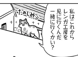 iroironaiyo's tweet photo. 猫と竜　ミケミケとねこねこギルド１０話目が更新されてます！
今回はホタテグサの親分のお話。ミケミケはお悩み解決出来るかな！
https://t.co/Cc8uEQeNXy https://t.co/9YLOuxyCt6
