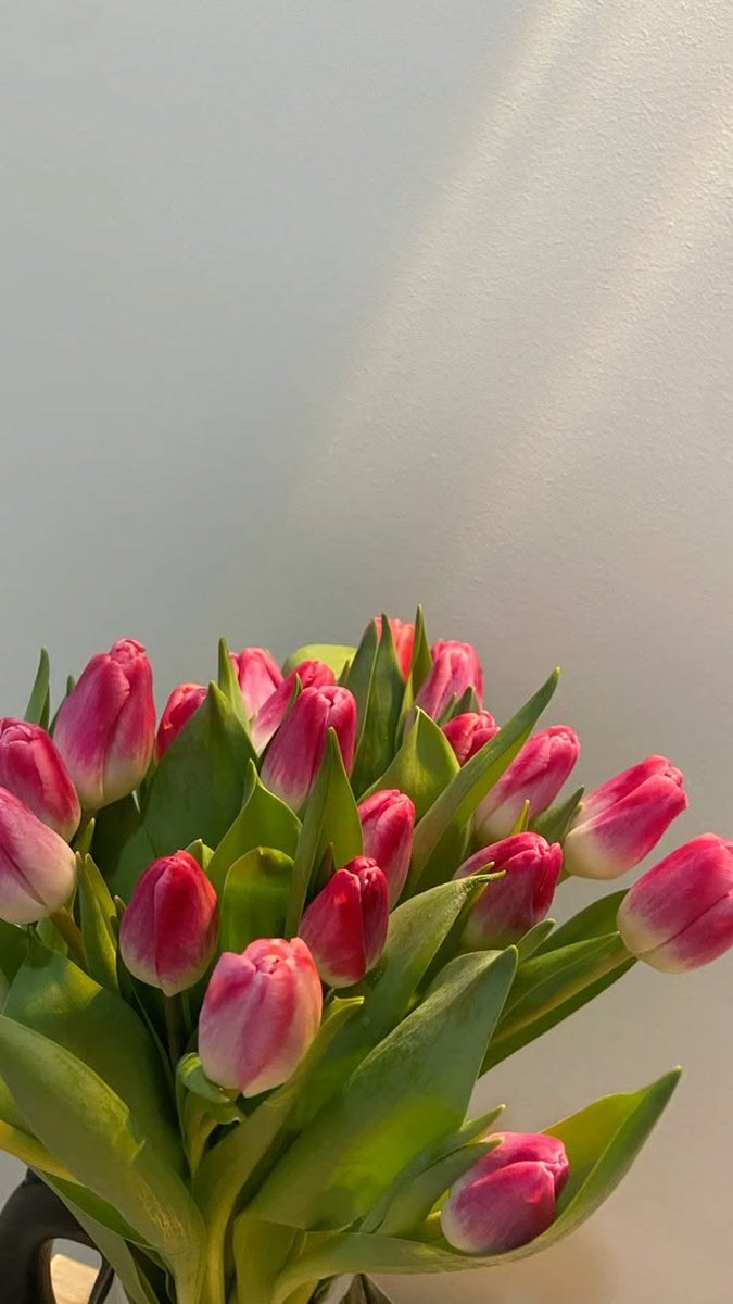 Flowersidmb's tweet photo. https://t.co/IYDzVRNcZF