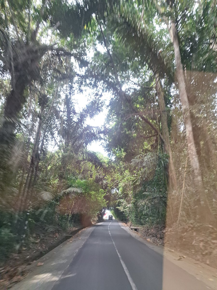 __gxtau__'s tweet photo. Gweh kira ke ubud tu cuma jalan-jalan doang ternyata kerja cik https://t.co/i3WqmjFpKv