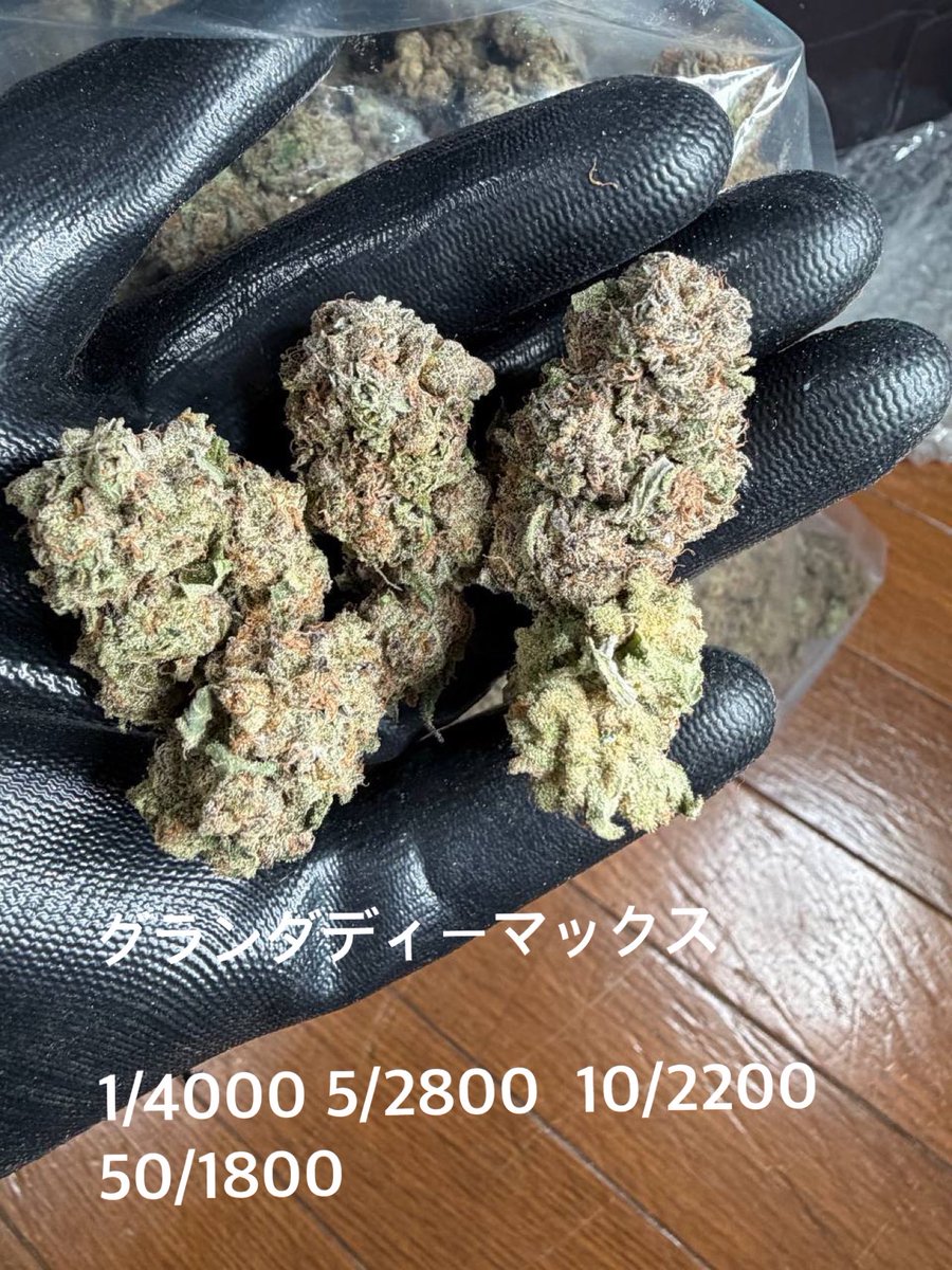 MyWeeFitspo's tweet photo. いい💐アルヨ
購入者がxにて、レビュー載せてもらえると次回の購入時💐1つ🎁もしてるから気軽に問い合わせ待ってるよ☝️ https://t.co/6Tyjl36HPt