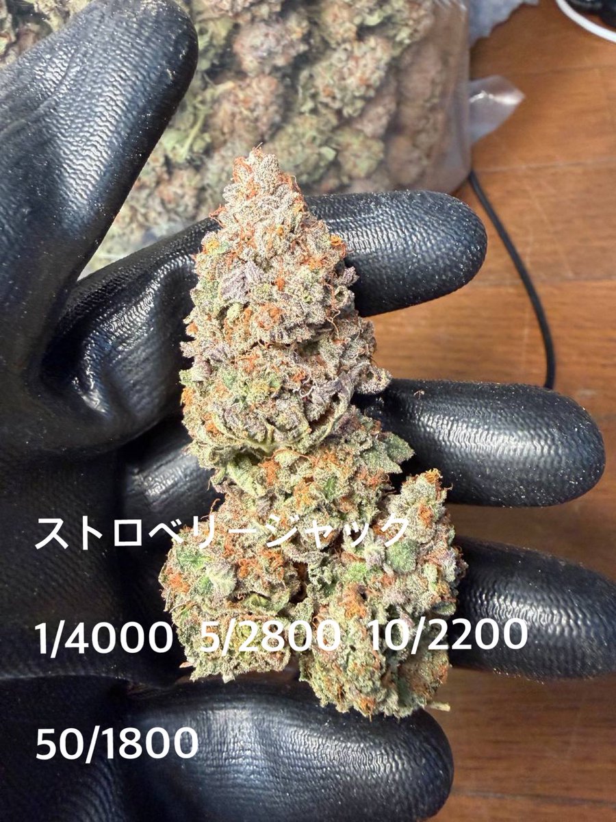 MyWeeFitspo's tweet photo. いい💐アルヨ
購入者がxにて、レビュー載せてもらえると次回の購入時💐1つ🎁もしてるから気軽に問い合わせ待ってるよ☝️ https://t.co/6Tyjl36HPt