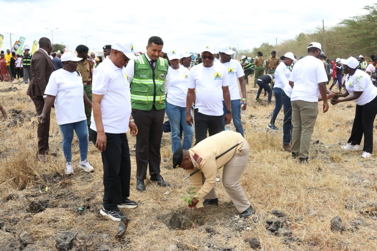 lapsset's tweet photo. Today LCDA joined the CS for Roads & Transport  Davis Chirchir,MBS, CS for Environment, Climate Change & Forestry Dr. Deborah Mlongo Barasa,EGH, PS State Department of Transport Mohamed Daghar, CBS, and other State Agencies in a tree-planting exercise in Embakasi East. LCDA was represented by Director of Administration Mr. Alexander Mativo  
The exercise targets 10,000 trees, contributing to the Government’s  broader target of 15 Billion Trees by 2032.
#LAPSSET remains committed to climate resilience, environmental sustainability and sustainable infrastructure development. 

#LAPSSET #GreeningKenya #15BillionTrees