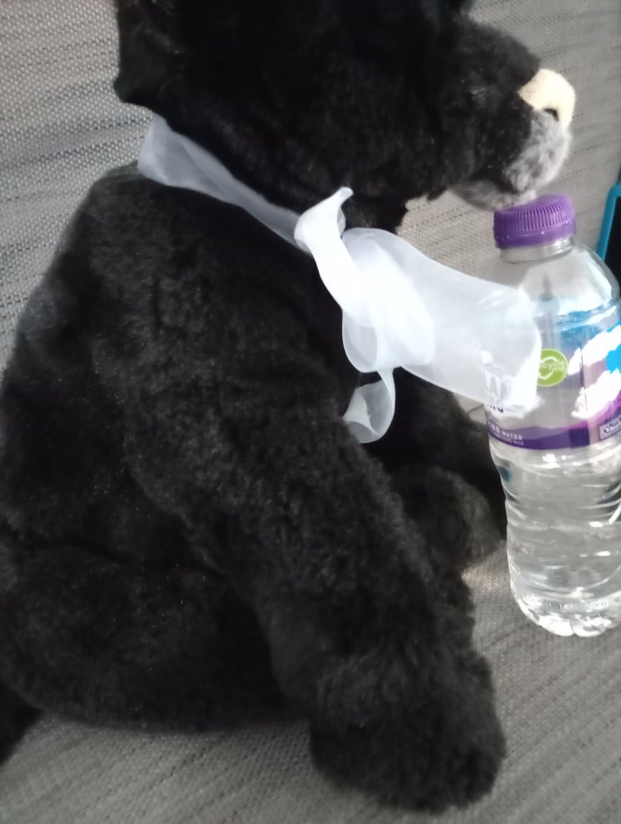 CricketNut2005's tweet photo. @keepfits Suzanne is having warta before she starts her #keepfits this morning. Have a great fursday, Henry 🖤🐈‍⬛🧸👍👍🧸🤍🤎🐾🐾 https://t.co/0BH5ADRAn9