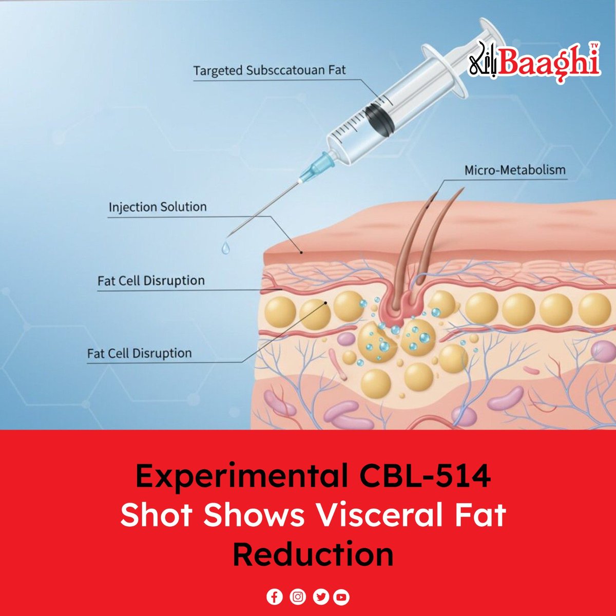 BaaghiTV's tweet photo. Experimental CBL-514 Shot Shows Visceral Fat Reduction

#BaaghiTV #Health #International #CBL514 #ObesityResearch #MedicalResearch #WeightLoss #HealthScience

https://t.co/5ex2FmZMpk https://t.co/X7XyO5WkkX
