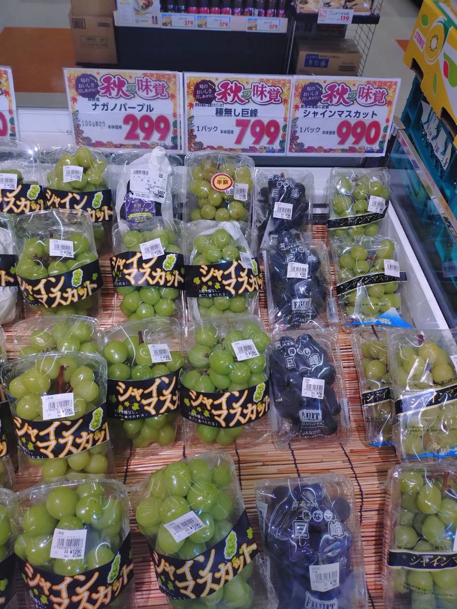 CzDOMch0GRTFiMt's tweet photo. こんばんはマルハン川越店こども店長です

果物の秋は選択の連続
キウイはモチロン酸味がすくない方で即決👊👊👊
問題はパープルにするかシャインにするか
迷った果てにラスイチのナガノパープル💜💜💜

最近果物多めに食べていからか体調が絶好調
覚醒？爽快？体が軽くなった気がします🪽🪽🪽 https://t.co/9pGXvFP2Y4