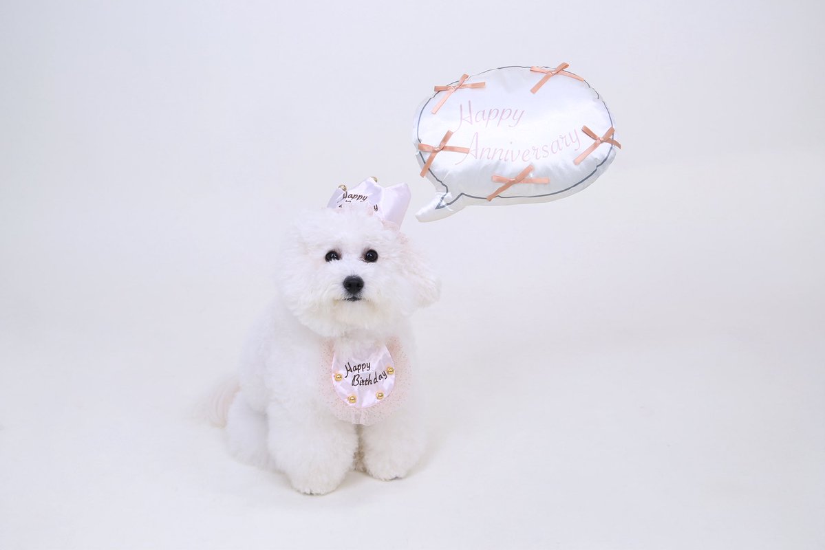 pom__pudding's tweet photo. かわいい(⸝⸝- -⸝⸝)♡ https://t.co/797IeAaAdA