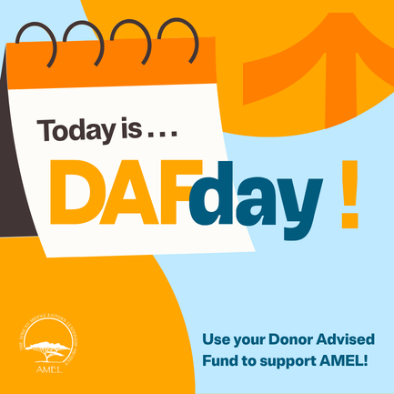 amelproject's tweet photo. It's DAF Day, a nationwide celebration of generosity through Donor-Advised Funds! When you make a DAF gift to AMEL, you’re helping to empower the next generation of leaders in Africa, the Middle East &amp; more!

Give now via your DAF sponsor's portal or via: https://t.co/OUqRamFrnK https://t.co/fcgZPXFv0G