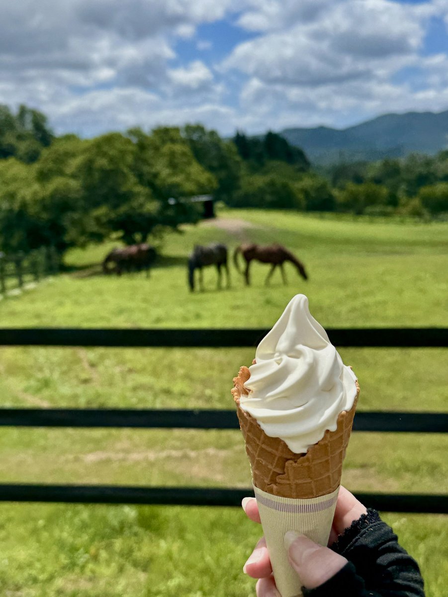 msandrahb's tweet photo. 感謝祭夜行バス帰宅からの夜勤＆明けで情緒おかしなってるだけですもうそこら辺ほっといてくださいねますさすがに https://t.co/9ytasxUKkG