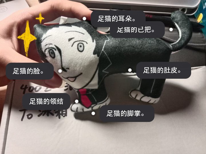 iceboxbbzw's tweet photo. 足猫。 https://t.co/IneEdAaFWR