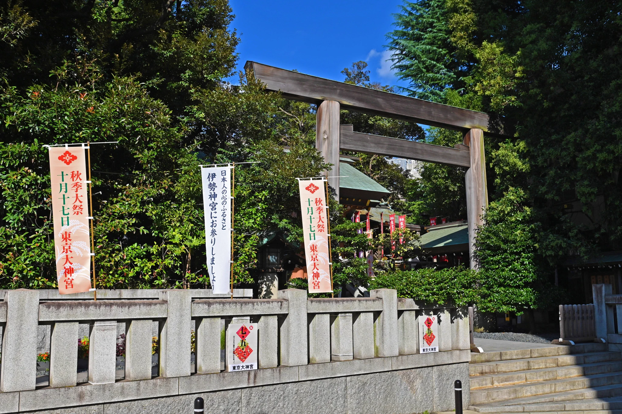 東京 大 神宮 写真