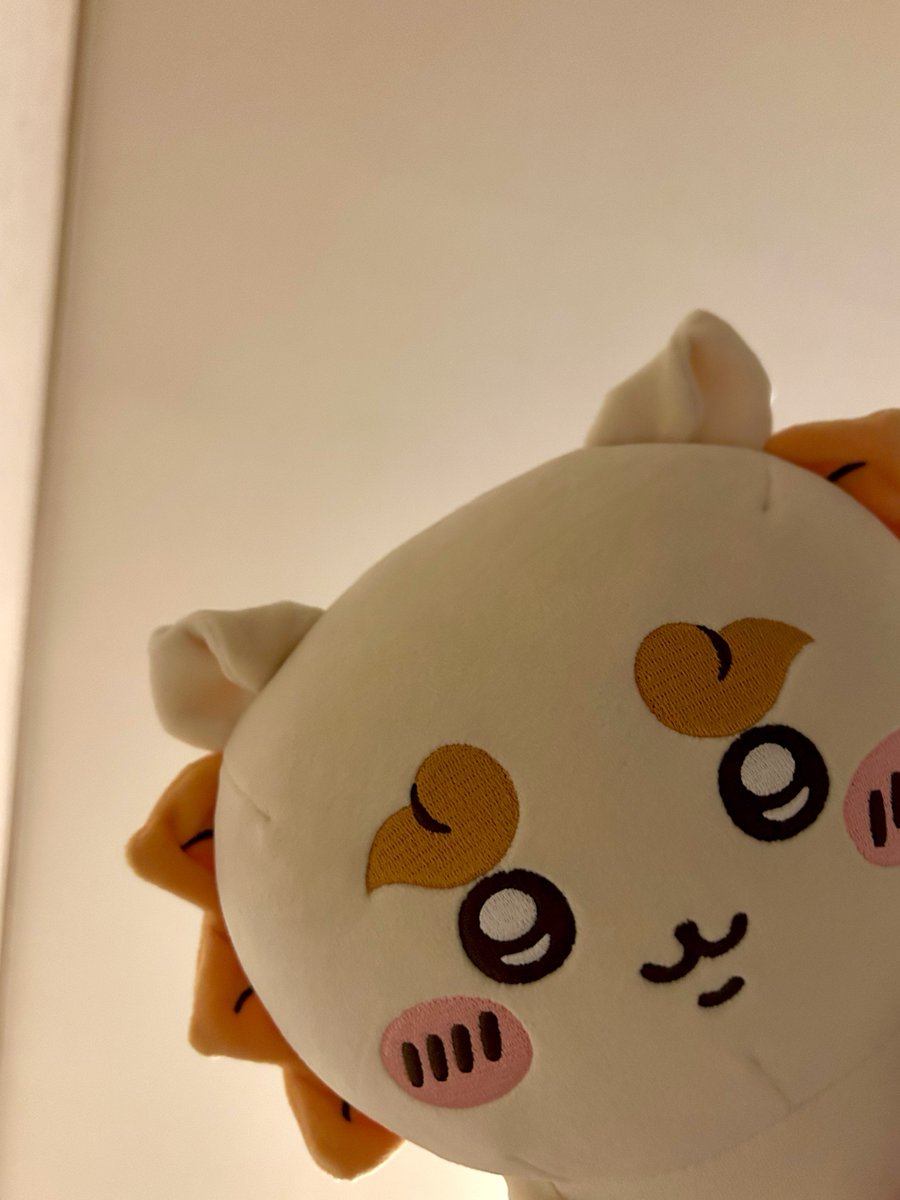 mmchiikawa's tweet photo. 何見てますか〜ッ？ https://t.co/ZnahIBFz6J
