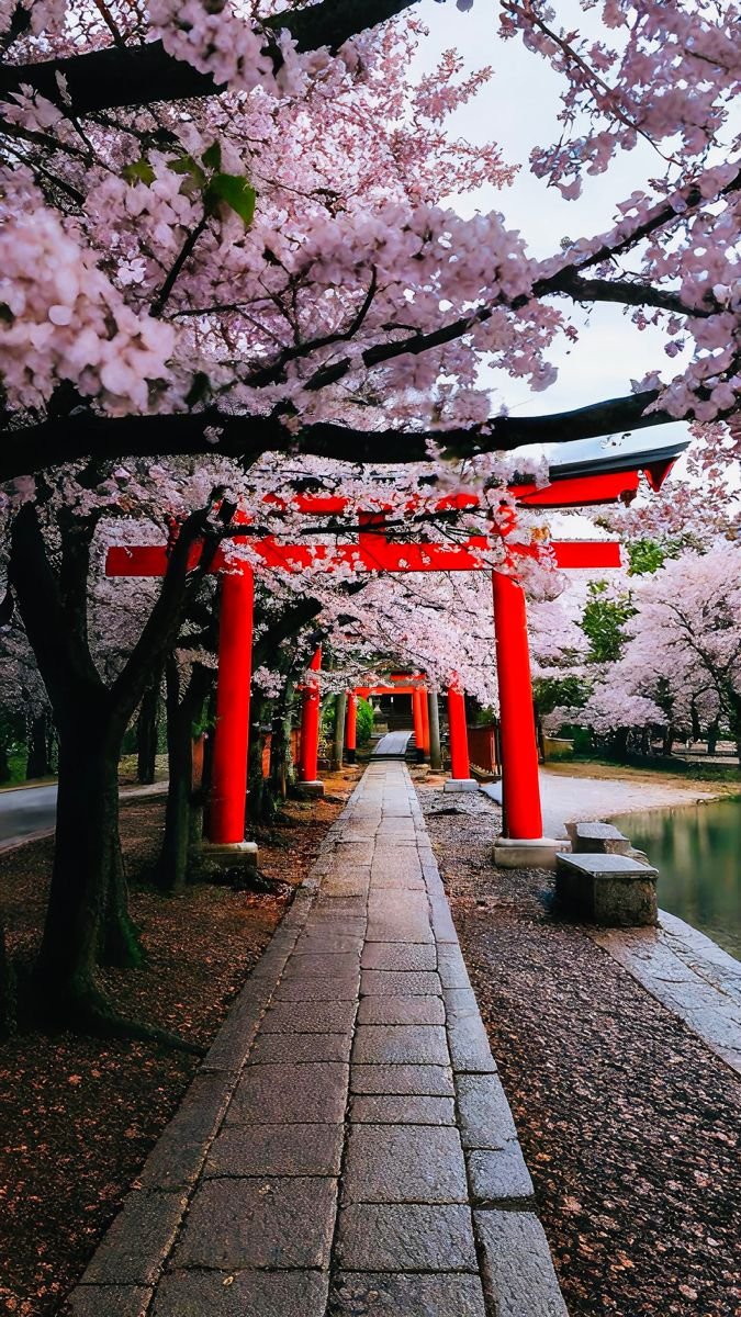 BeautifulA71927's tweet photo. Japan 🇯🇵 https://t.co/MkcwESGElN