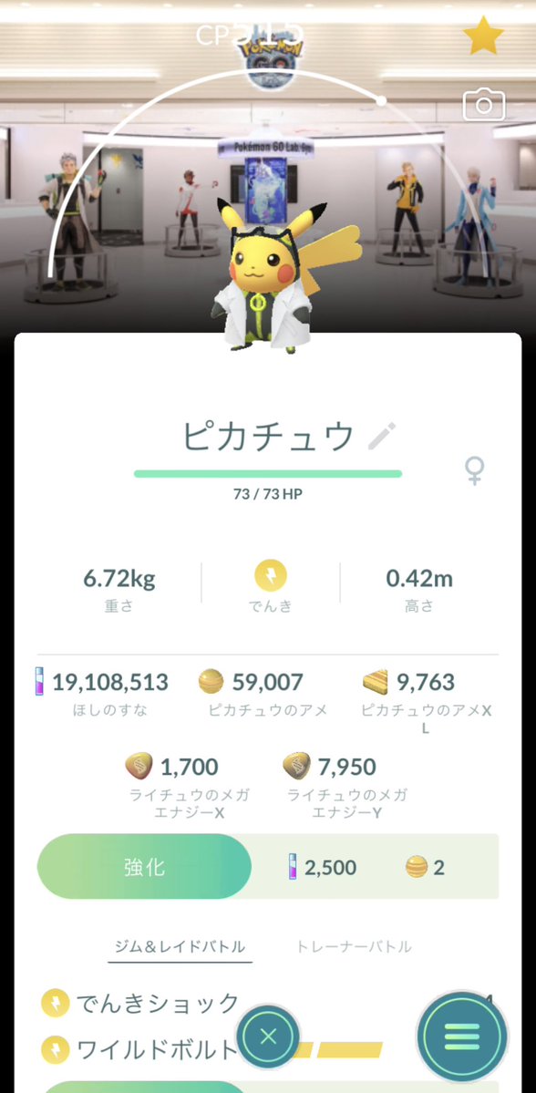 Pokemon202301's tweet photo. レイドでも付くんだ背景😳✨
ランダム！？
1日1戦...これはなかなかの死闘だ...🫠
#ウィローピカチュウ #ポケモンGO #ポケGO https://t.co/r82aueYDue