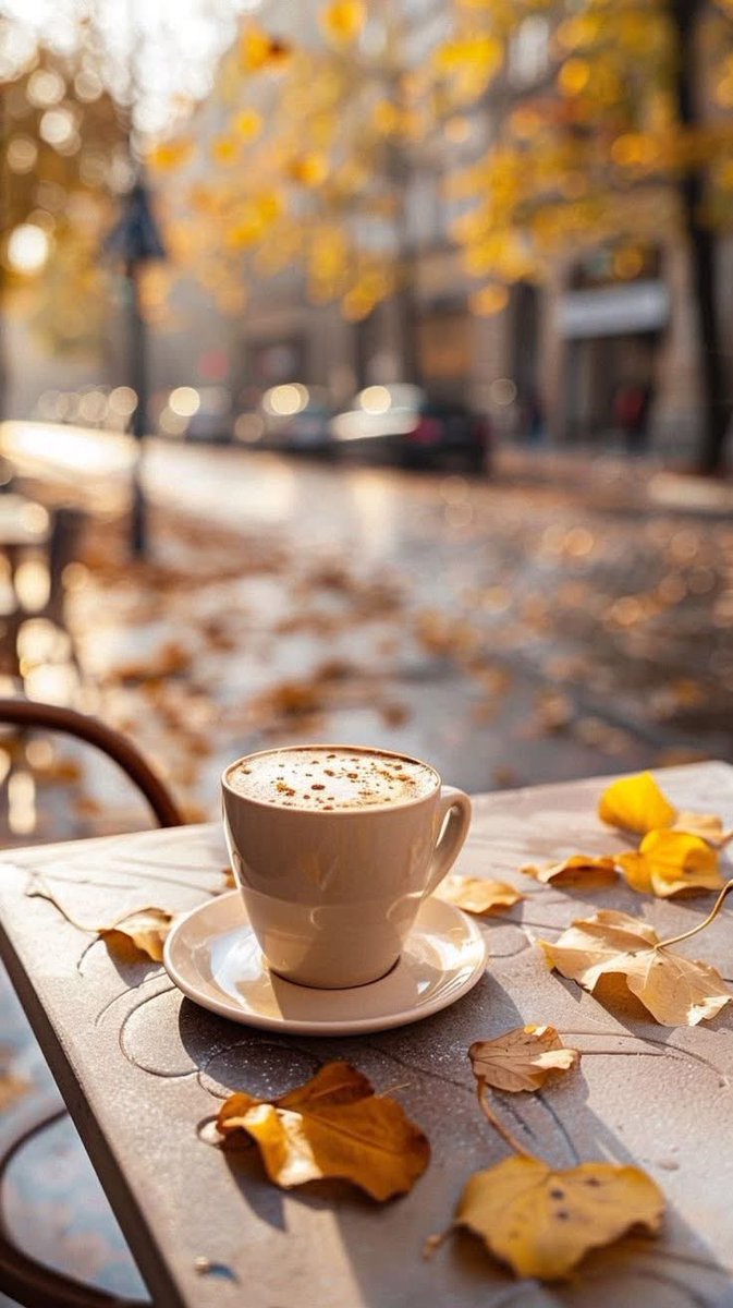 OmTala24814971's tweet photo. اجمل ما فى كبرياء الخريف انه لا يتردد في إسقاط كل ما أصبح عبئًا ....🍂🍁 https://t.co/rwn5dnXrNl
