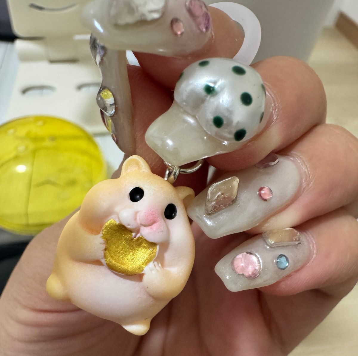 mire_ince's tweet photo. わたしの中で🐹=田中雅功さん なので
色々なハムたちをお迎えしているこの頃 https://t.co/0I6cfLDb78