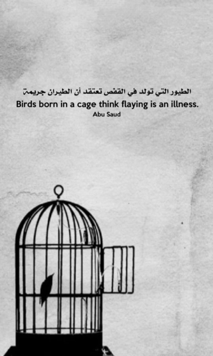 h_adeli7's tweet photo. @shahaaaaddddd https://t.co/CnwaZFrzlT