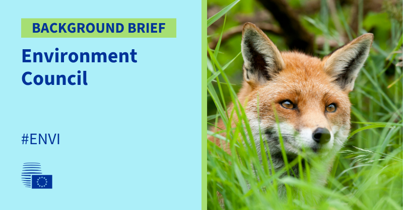 EUCouncilPress's tweet photo. ❗NOW available: background brief ahead of the Environment Council of 12 October 2026

#ENVI

Read it here 👇
https://t.co/oHsu4Cj0SL https://t.co/BYVA1f2hWV