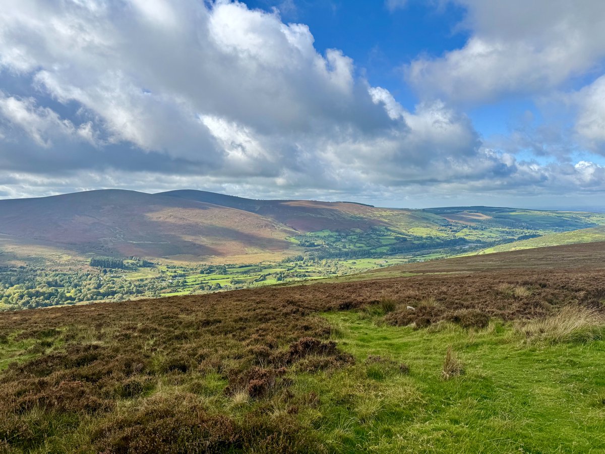 capnetworkire's tweet photo. It was such a pleasure having the 8th National Networks Meeting in Ireland. As well as all the insights gained through workshops and presentations, attendees got a glimpse into Irish culture and the beauty of Wicklow's landscape. From Irish music and ceili dancing to the breathtaking scenery of the Wicklow mountains, we hope our guests from EU member states enjoyed their Irish experience. Go raibh maith agaibh agus slán abhaile. Thank you all and safe journey home. 🇮🇪🤗
 
#NNMeeting #eucapnetwork #capnetworkireland