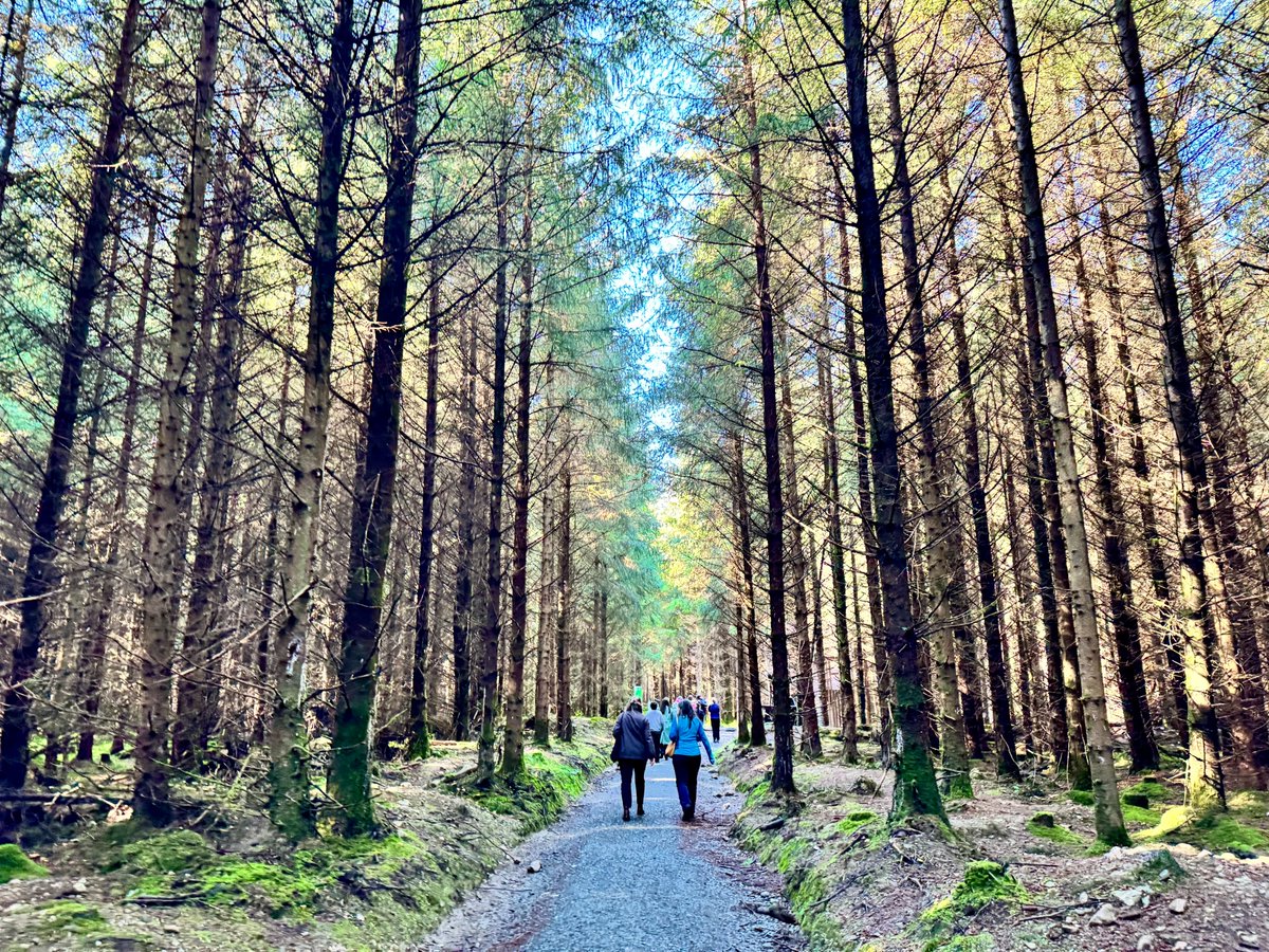 capnetworkire's tweet photo. It was such a pleasure having the 8th National Networks Meeting in Ireland. As well as all the insights gained through workshops and presentations, attendees got a glimpse into Irish culture and the beauty of Wicklow's landscape. From Irish music and ceili dancing to the breathtaking scenery of the Wicklow mountains, we hope our guests from EU member states enjoyed their Irish experience. Go raibh maith agaibh agus slán abhaile. Thank you all and safe journey home. 🇮🇪🤗
 
#NNMeeting #eucapnetwork #capnetworkireland