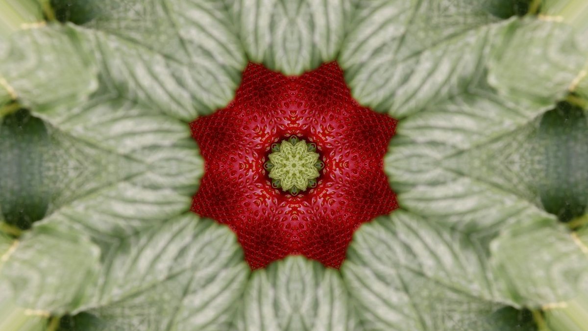 medol_TGN's tweet photo. Després de la projecció, reprendrem les qüestions que planteja Strawberry Fields en una taula rodona amb Julia Montilla, Pati Homs i Paula Llaurador, moderada per Quim Packard, sobre el model agroalimentari, les desigualtats i l'explotació laboral.

https://t.co/1kh0Lf29LX https://t.co/o4P9Mhg2Q1