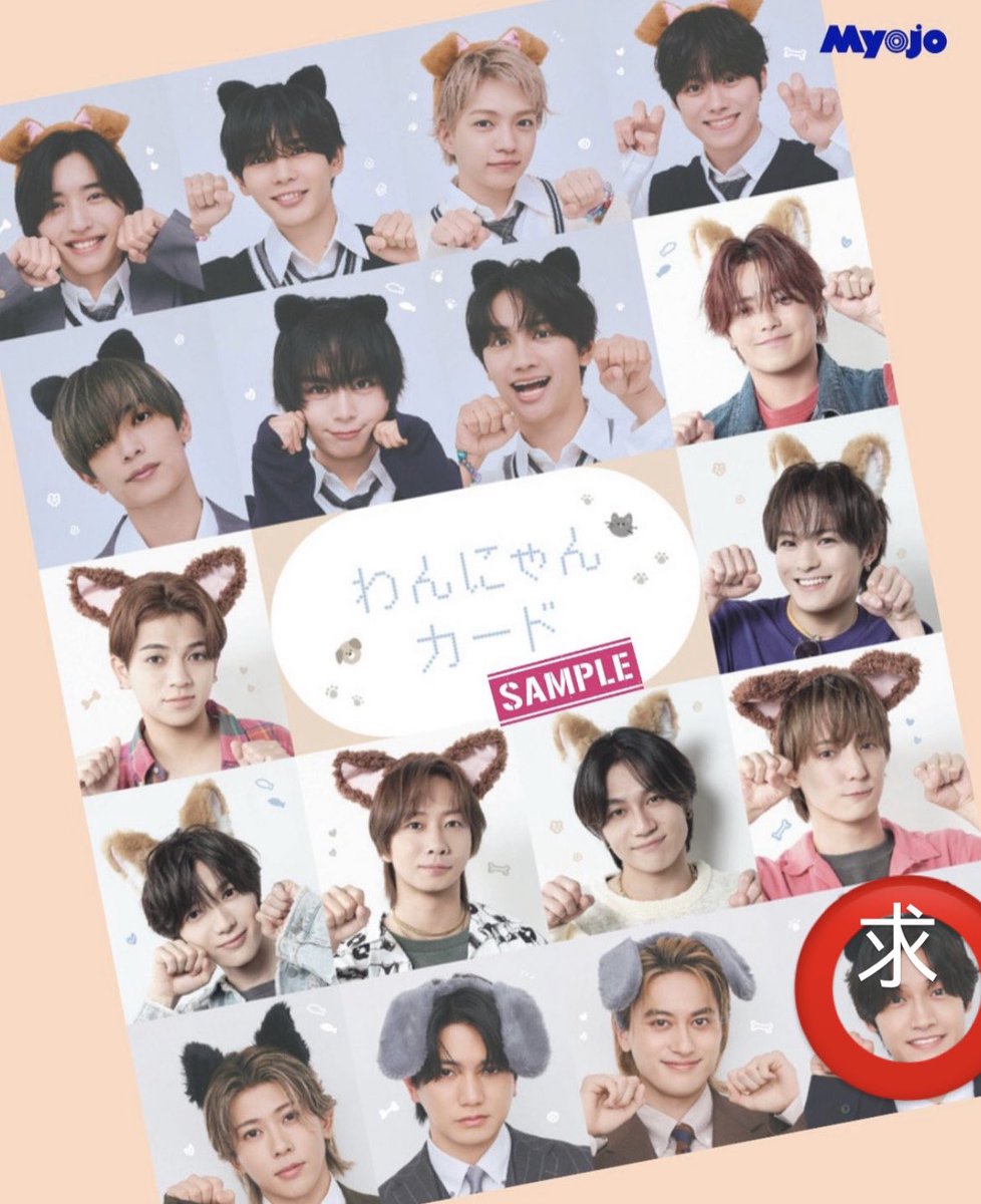 oswl_z's tweet photo. Myojo 11月号 厚紙 わんにゃんカード 交換

【求】佐野晶哉 or 佐野を含む過去物＞Aぇ! group

【譲】わんにゃんカード佐野以外　なにわ男子厚紙、過去物画像1枚目

通常版1冊のみ
カミガタ10/31ドリフェス11/21手渡し、郵送

リプまたはDMまでお願いいたします。
#Myojo交換　#Myojo厚紙交換 https://t.co/7e0YGKrhUp