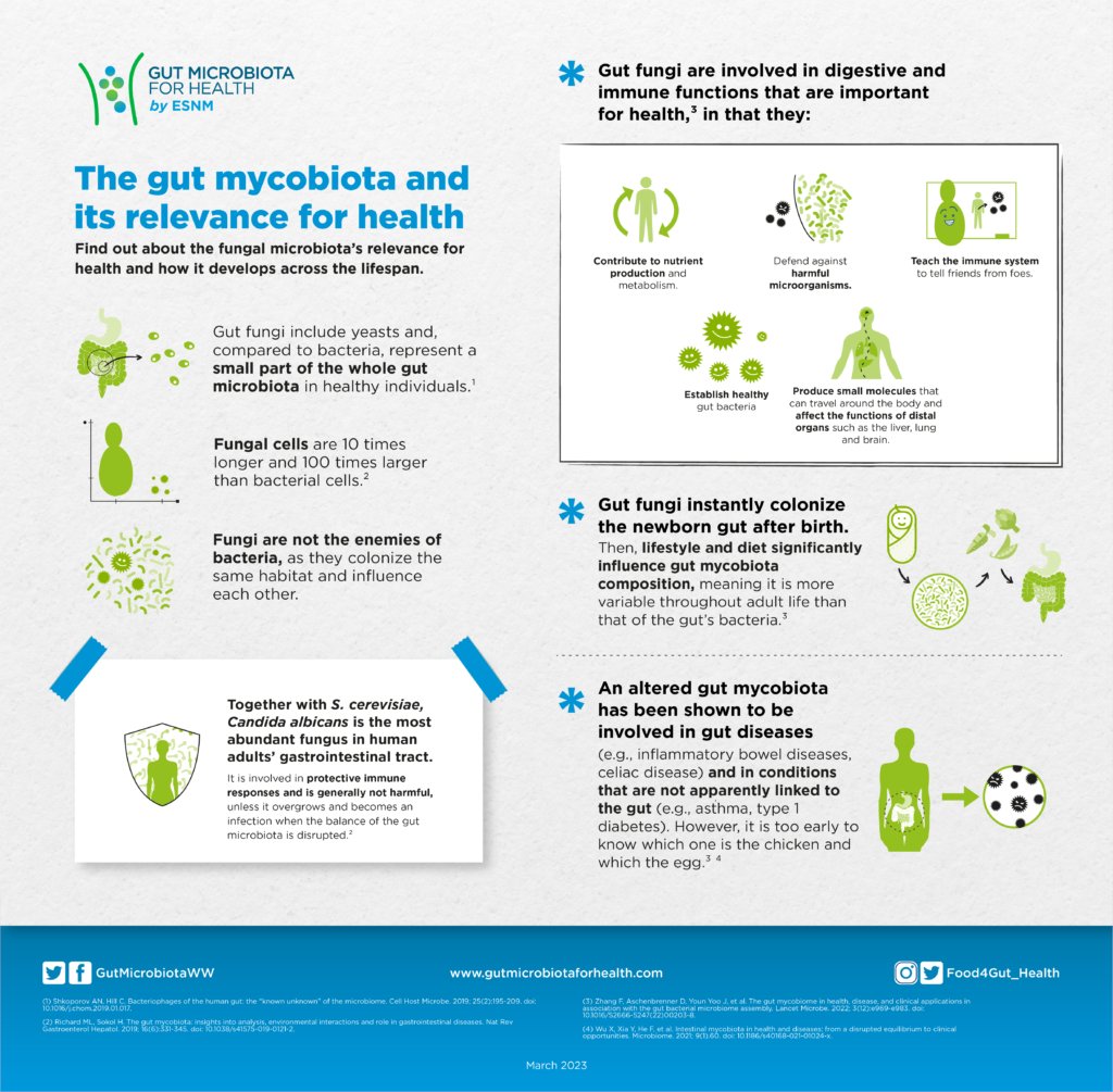GutMicrobiotaWW's tweet photo. Bacteria aren't the only microorganisms living in your gut! 🍄🦠

The gut #mycobiota—the community of fungi in our digestive tract—is an emerging area of research. What do we know about its role in gut health, and what remains to be discovered?

https://t.co/fLPAVipZ5x https://t.co/IOvbzoUQqk
