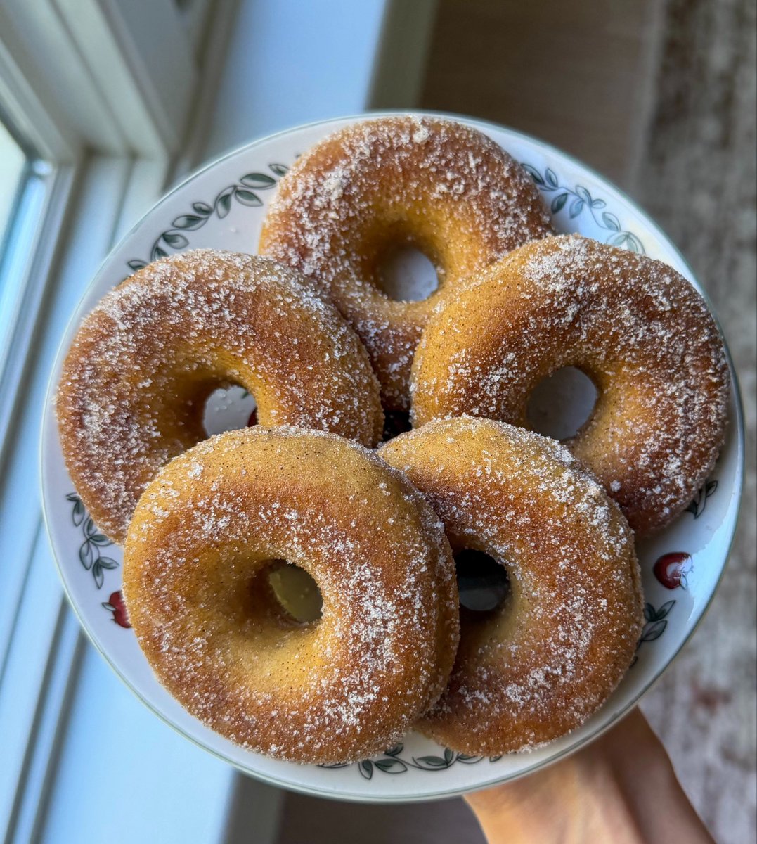 irlzeldas's tweet photo. You have to eat lots of apple cider donuts this fall. You must! https://t.co/UxQIn1usbI