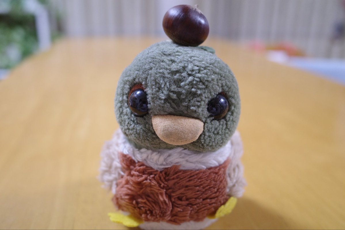 kurimoku0719's tweet photo. 【拡散お願いします】
10月4（日）13時頃、神奈川県川崎市の富士見公園芝生広場で写真のぬいぐるみを紛失してしまいました。
ずっとずっと長く一緒にいた大事な大事なコです。
手のひらサイズです。
拾われた方、見かけられた方、少しでも情報をお持ちの方は、お知らせいただけましたら幸いです。 https://t.co/BBouWbZiUG