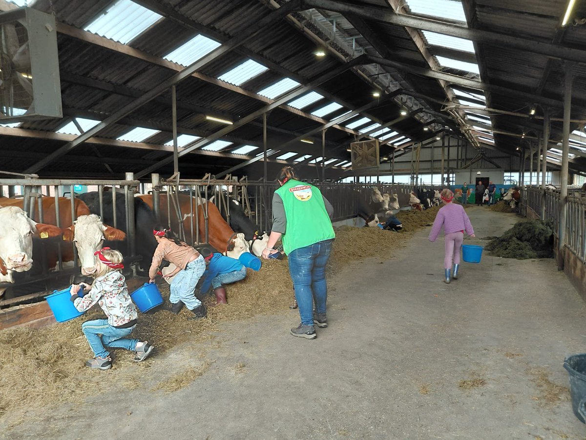 fleckveeboertje's tweet photo. Vanochtend weer een mooie #boerenwijs school educatie les gehad. In het kader van #weekvanonseten waren Harold Zoet en Pieter Rijzebol te gast.
Kinderen mochten ook vragen stellen. GeΓ―nteresseerde vraag aan Harold Zoet was...
"Heeft u ook een trekker?" π https://t.co/C5MIXchIjM