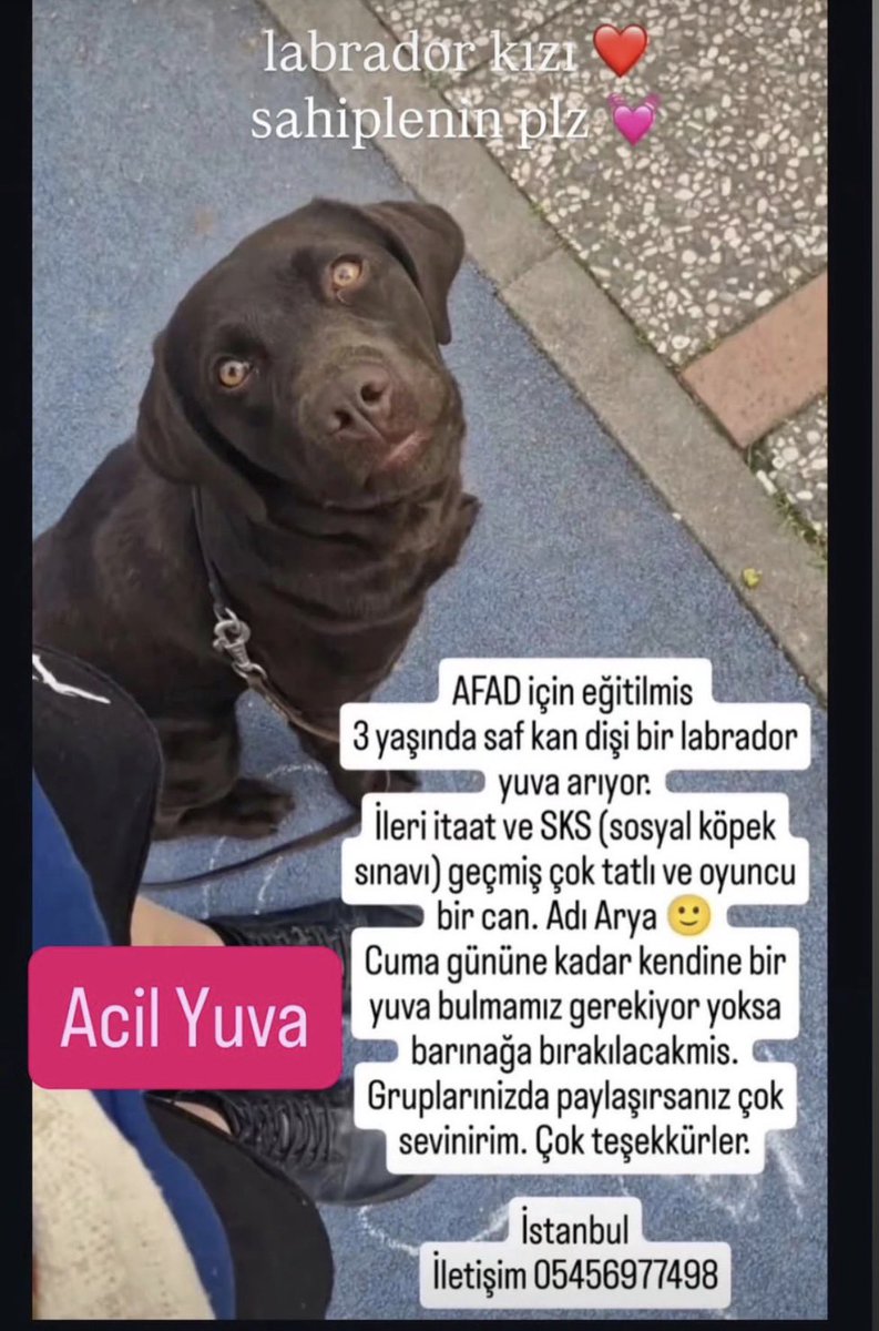 ComradeTevfikov's tweet photo. Böyle bir ilan var. 
Yayabilir misiniz lütfen. 
Belki birine dokunur. https://t.co/zzYoOxnVf2
