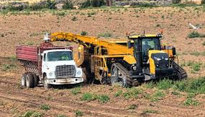 Argenpapa's tweet photo. 📉🥔 Estados Unidos: los envíos de papa destinada a chips acumulan una caída del 19,9% en la campaña 2026/27, frente al mismo período del ciclo anterior.

https://t.co/zWqkcFkCi5 https://t.co/2oSoay2ehd