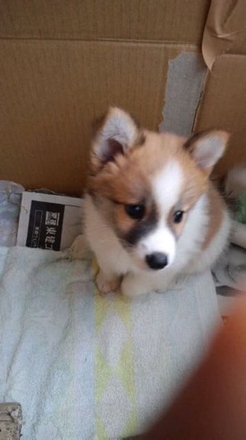 yukanpodoljp's tweet photo. いいよぉ…ハァハァ https://t.co/PqxP7jfvCx