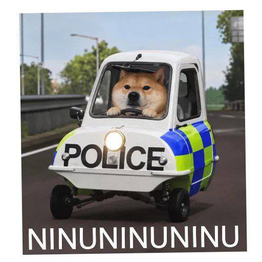 daniyalt16's tweet photo. @NEAR_INU Buy some $ninu or get arrested ser https://t.co/CB6MSFFf8D