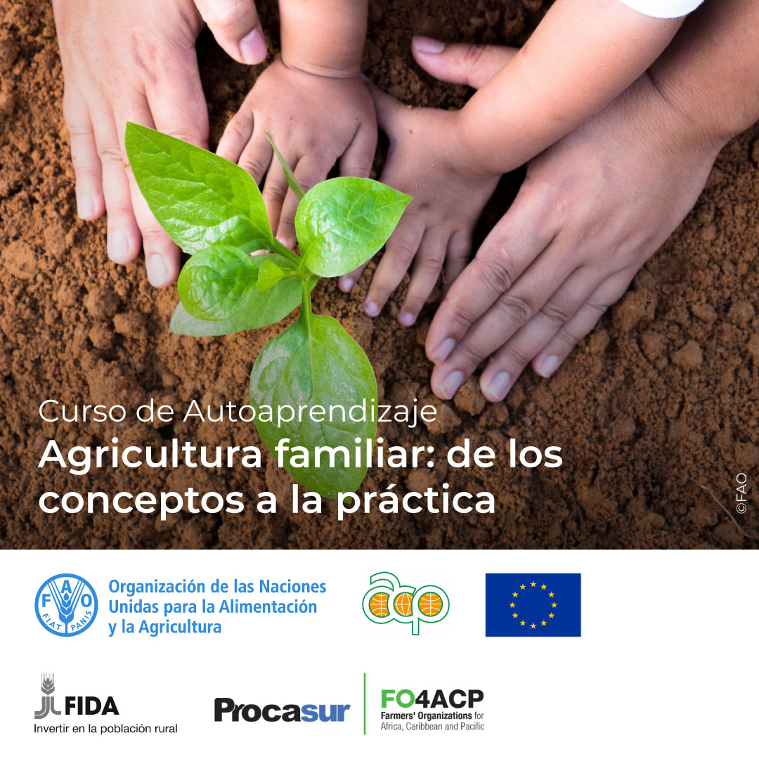 FAOCampus's tweet photo. 🎓 Curso gratuito de @FAOCampus

👨‍🌾🚜 Agricultura familiar: de los conceptos a la práctica

Programas y políticas para el fortalecimiento de la agricultura familiar.
 
¡Matricúlate! ➡️https://t.co/Pf4XjnTl1b

Junto a @PROCASUR  @IFAD  @PressACP  @FO4ACP  y Unión Europea https://t.co/0fz0mKgeyr