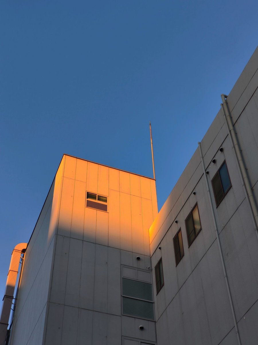 uminosea12's tweet photo. この時期は上を向いて歩く方が良い。 https://t.co/NUcQb2hz1Q