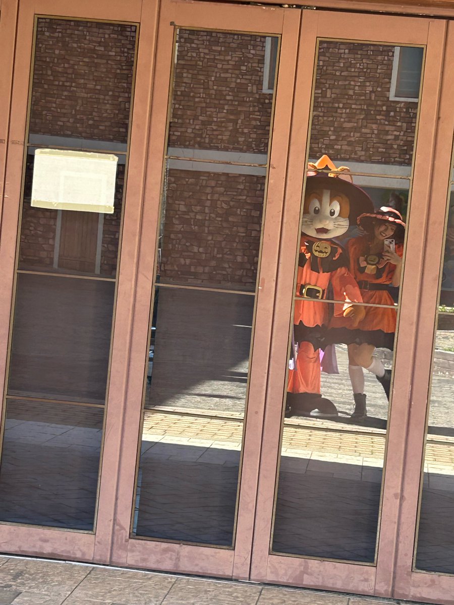 Gs231101's tweet photo. 🧡🧡🧡 https://t.co/HrB5QpMm3R