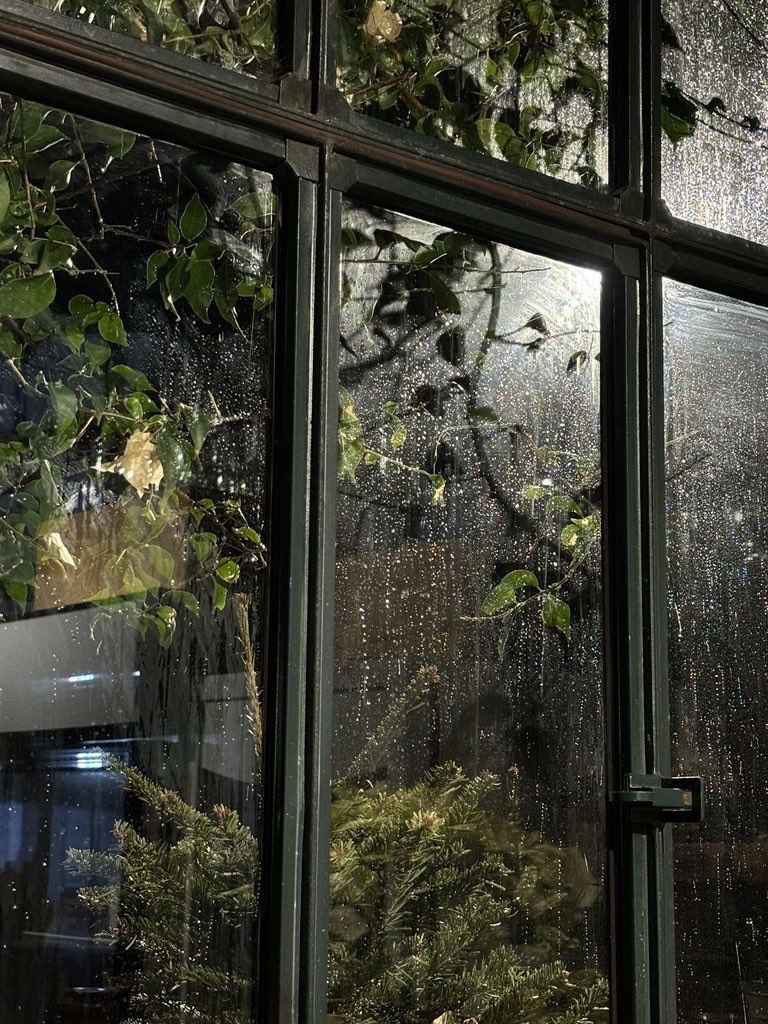 zulotsn's tweet photo. rainy day green aesthetic kinda vibes https://t.co/Cx6nd5z5bh