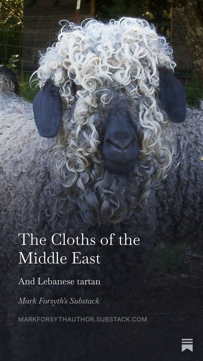Inkyfool's tweet photo. I've written an etymological post about the cloths of the Middle East https://t.co/7OFWNZQ4fS https://t.co/AjAvosHNQm