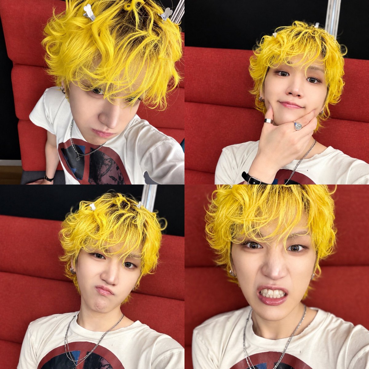bbibbiriwoo's tweet photo. he's the cutest and fluffiest baby ever 💛⭐️ https://t.co/MraQS5mlA1