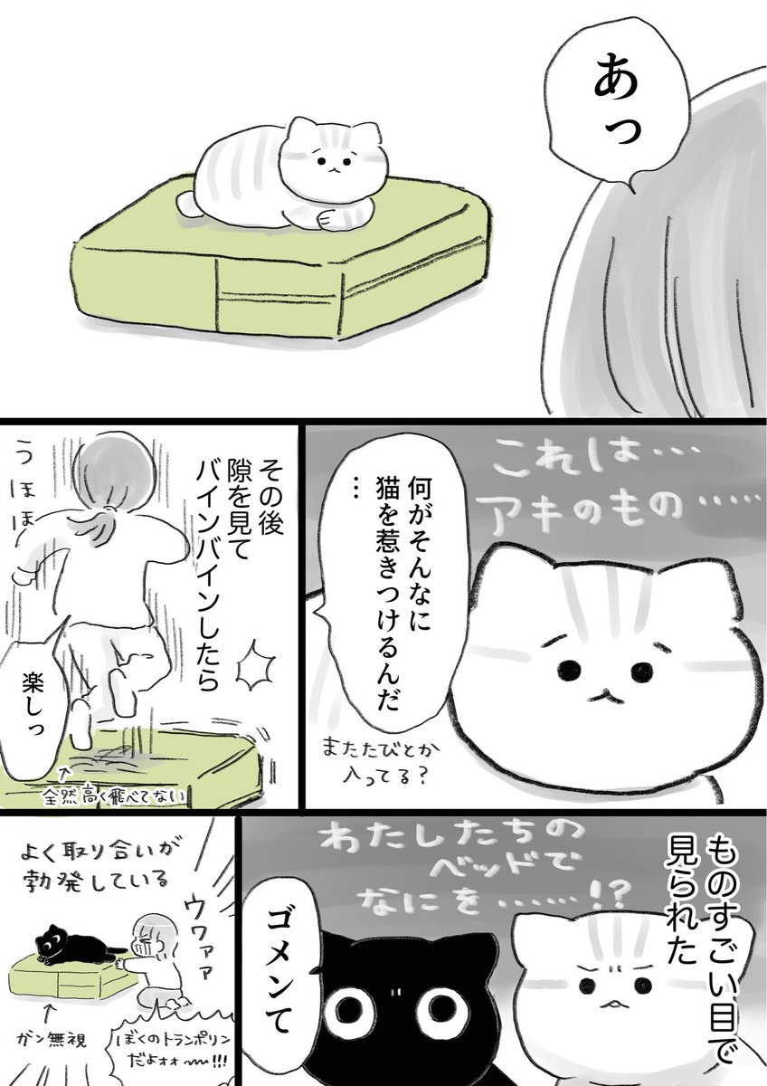 ebinoosushi_da's tweet photo. トランポリンクッションを買った話
(去年の再掲です) https://t.co/tCHxD4sGJp