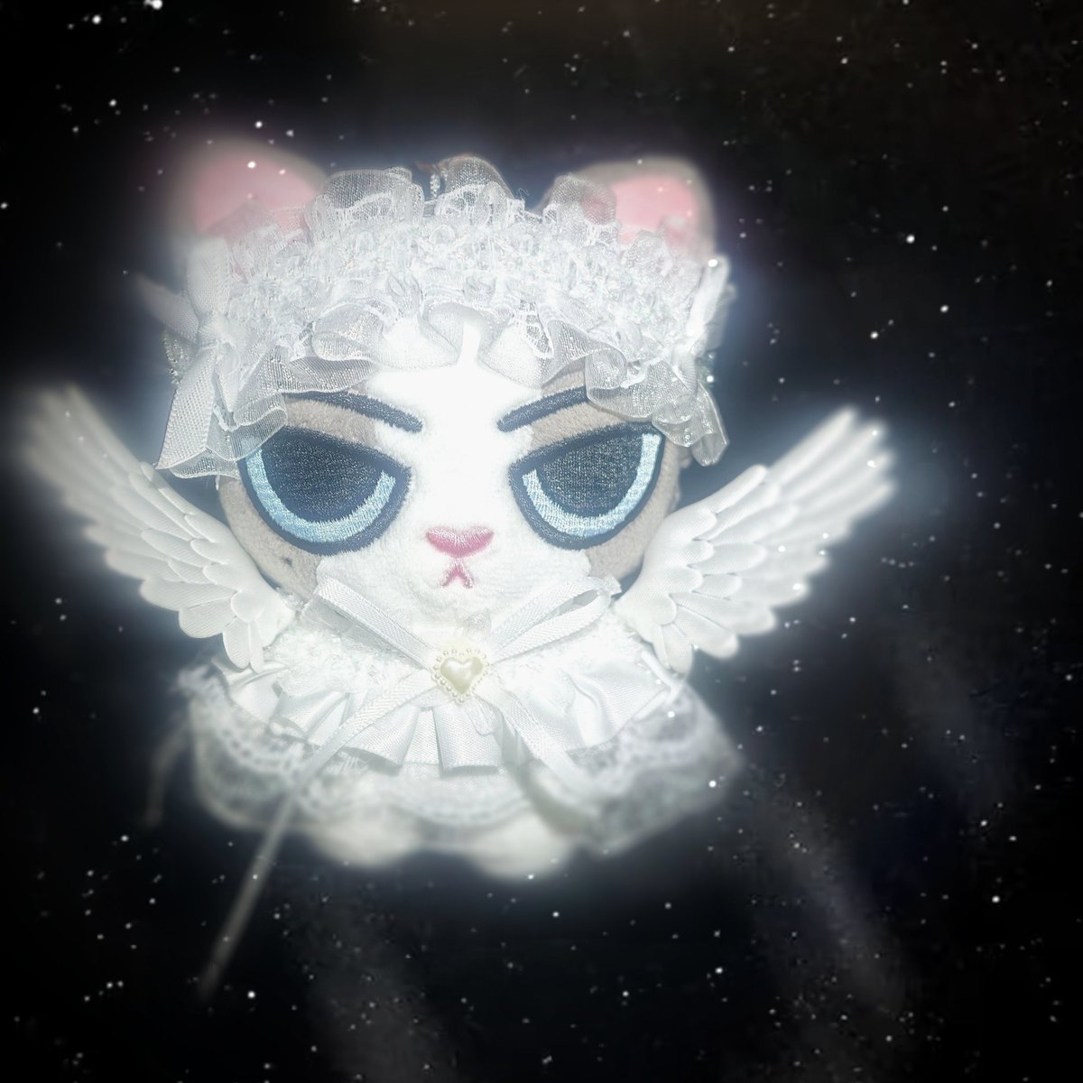 Ice77meow's tweet photo. 천사가 나를 천국에 데려간다길래, 서비스하기 싫은 얼굴의 아기 고양이 천사가 왔어 https://t.co/QIVaB1TVLf