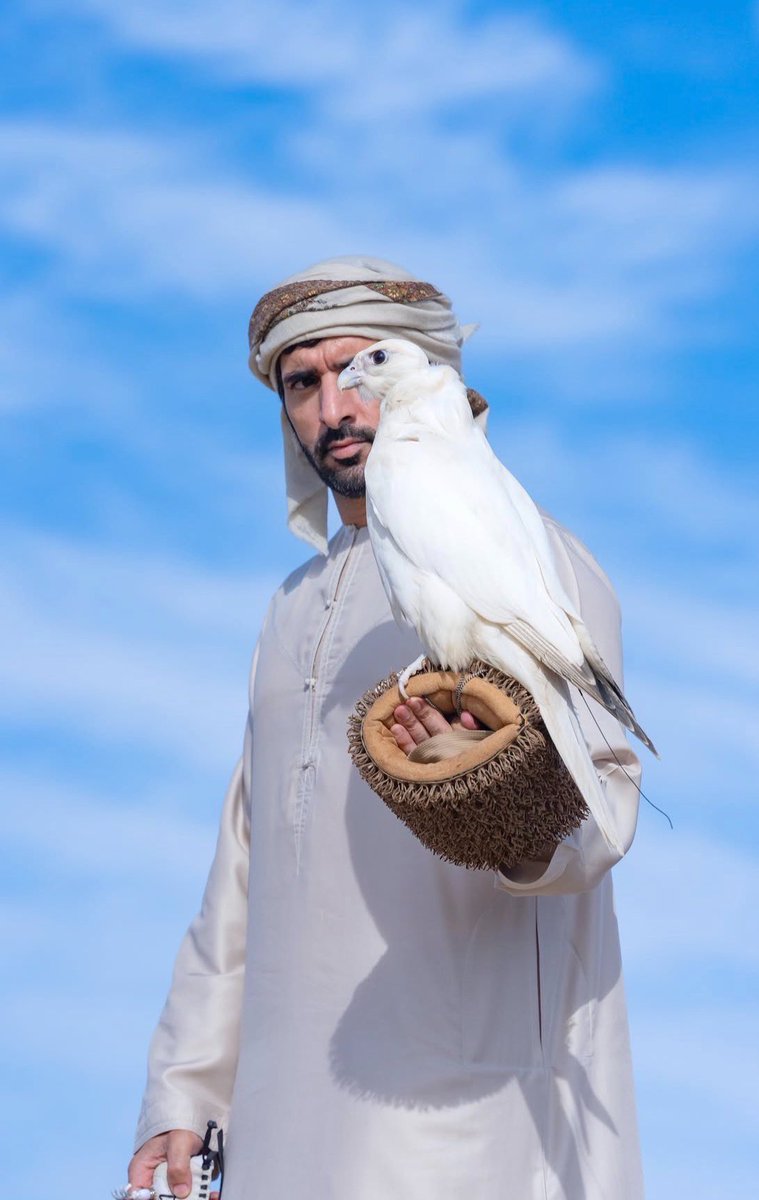 uae_parza's tweet photo. الصقّار وزير الدفاع 🦅 https://t.co/NUQTSJXatQ