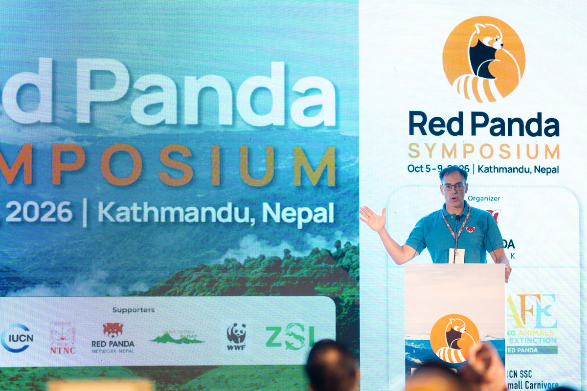 RedPandaNetwork's tweet photo. Day One at the Red Panda Symposium 2026 🐾

The first day focused on the status, speciation and threats facing red pandas, bringing experts and conservationists together to share knowledge and explore the way forward.

Read the full blog here: https://t.co/2d8hPK25on

#RedPandaSymposium #RedPanda #RPS #Conservation #Symposium