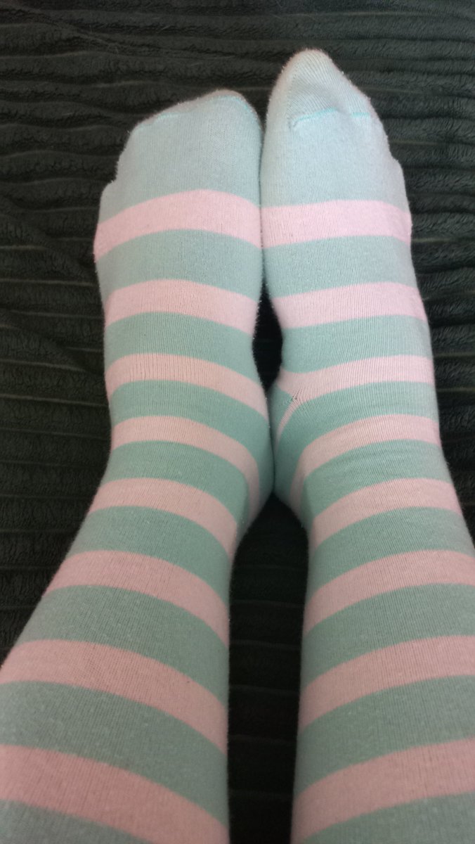 FumoFemboy tweet picture