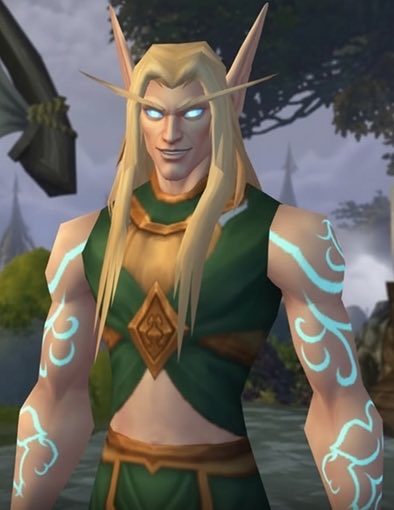 aivnew's tweet photo. This one is just for fun #wowforever #worldofwarcraft #wow https://t.co/xsgGIfivTo
